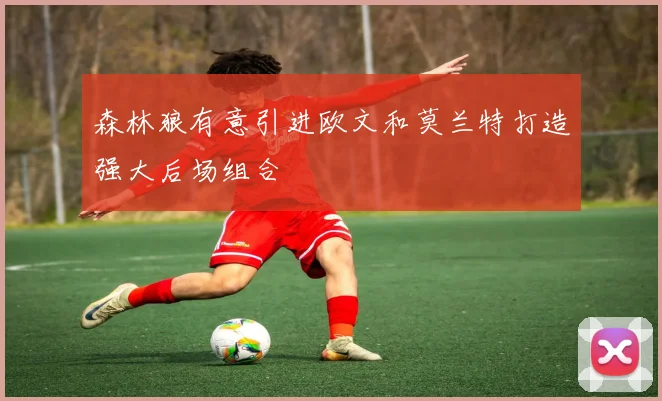 森林狼有意引进欧文和莫兰特打造强大后场组合
