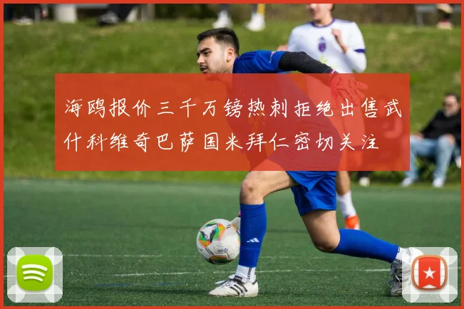 海鸥报价三千万镑热刺拒绝出售武什科维奇巴萨国米拜仁密切关注