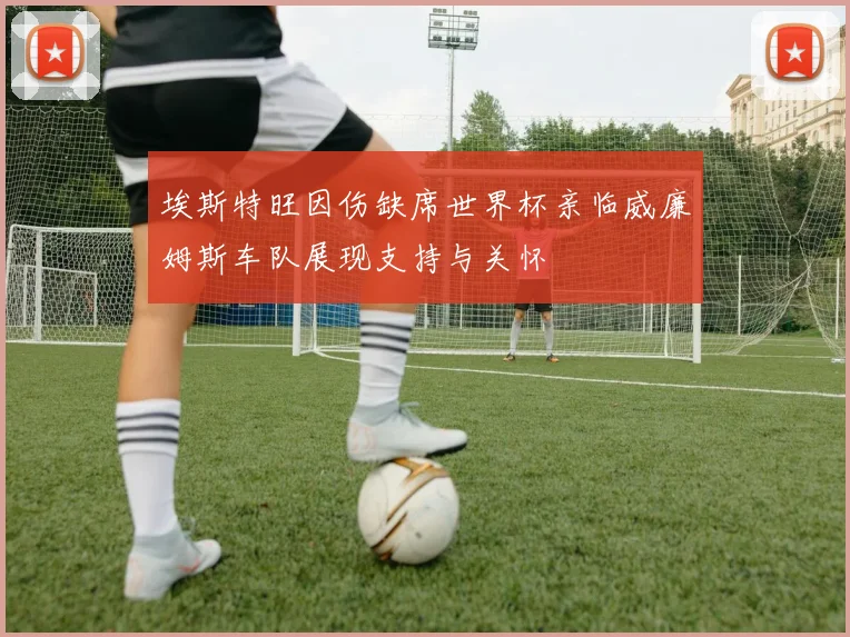 埃斯特旺因伤缺席世界杯亲临威廉姆斯车队展现支持与关怀